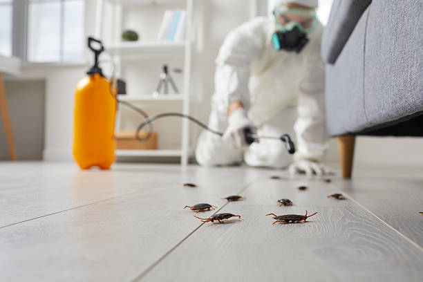 Post-Treatment Bed Bug Interceptor Monitoring in Biltmore