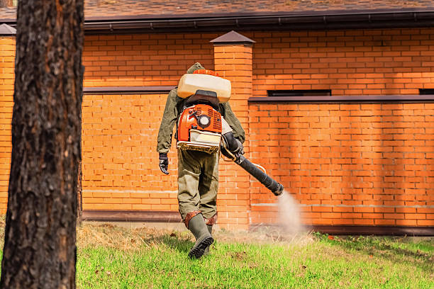 Bed Bug Clearance Verification and Documentation in Biltmore